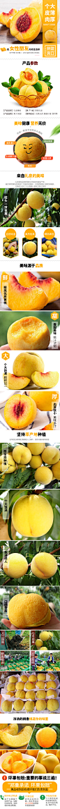 黄桃详情