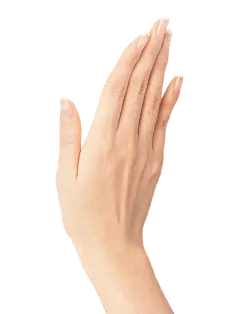 手掌张开五指 右手 男Hands PNG, hand image free-花瓣网