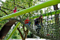 儿童游乐空间设计案例2—— 德国舒尔伯格雕塑游乐场SCULPTURAL PLAYGROUND IN SCHULBERG, GERMANY