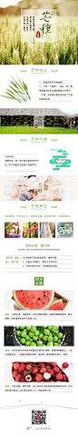 微信长图—芒种hh5