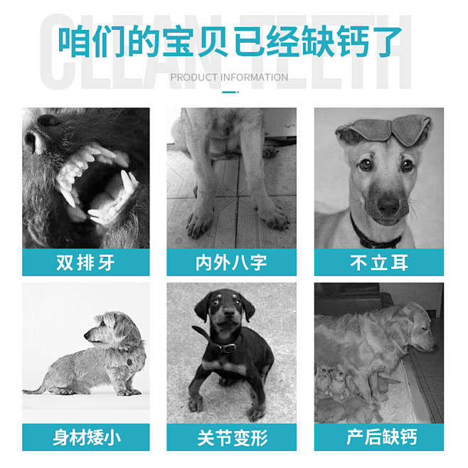 卫仕钙片主图