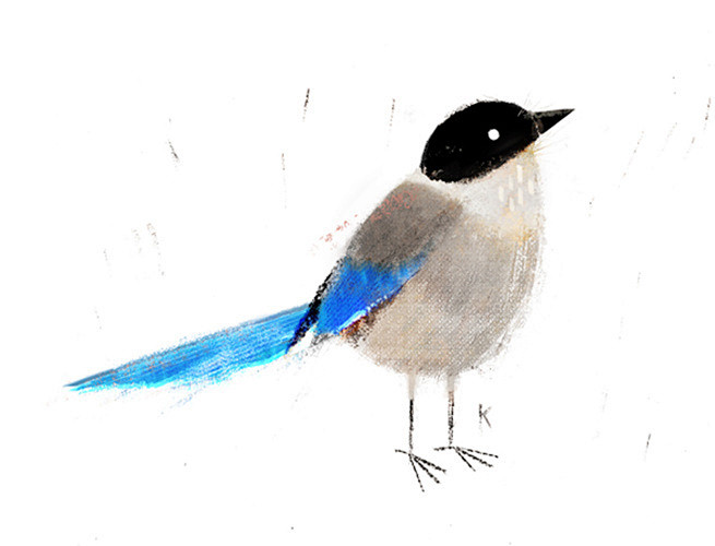 Birds - Pandagun