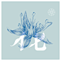 FUNDAMENTAL on Behance