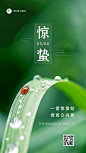 惊蛰节气祝福手机海报