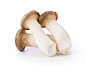 Photo king oyster mushrooms