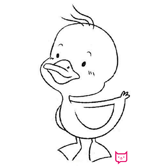 小鸭子简笔画，可爱的鸭子