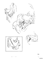伯里曼人体结构绘画 (333).jpg