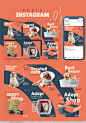 branding  cartoon Cat dog graphic design  identidade visual instagram petshop Redes Sociais social media