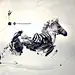 创世猪