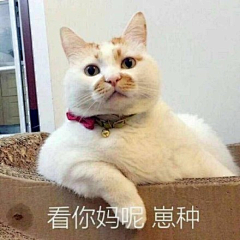 豆角er_采集到表情包