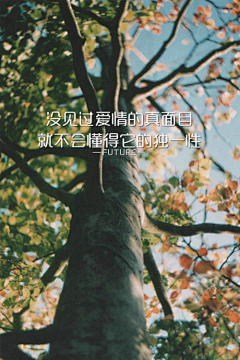 叶公不好龙、采集到头像背景