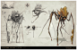 Banshee, Bobby Rebholz : In the high foliage surrounding the nearby swamps of Ecor-117 lurks a predator that methodically hunts its prey.  With the ability to stand perfectly still for days, this creature will slowly surround an area frequented by other a