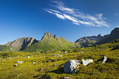 嘿嘿_小虾米采集到背景