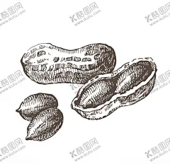 蔬菜 【酷图网】矢量蔬菜,矢量图,水果,水果矢量图,蔬菜,手绘蔬菜,蔬菜插画,花生,菜谱素材,川菜,生活插画,玉米,萝卜,手绘茄子,插画素材,洋葱,辣椒,青椒,盘子,蘑菇,南瓜,芹菜,木瓜,西红柿,芒果,青瓜,红萝卜,豌豆,苦瓜,土豆,西兰花