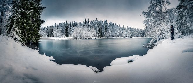 Winter Wonderland by...