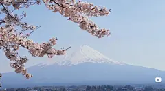 122609
