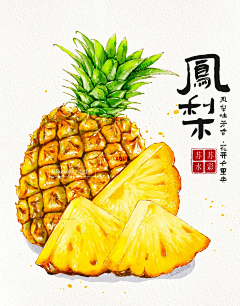 有西瓜的夏天采集到素材
