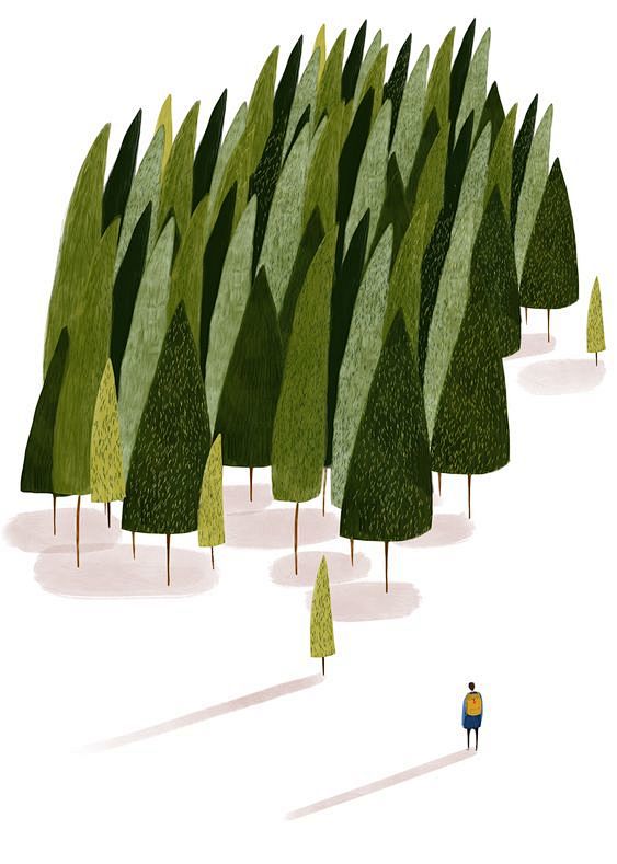 Into the woods illus...