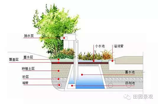 “懂海绵”海绵城市（中）景观海绵重要节点...