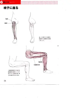 骨骼肌肉人体结构运动规律 (120).jpg