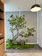 室内马醉木仿真植物造景装饰树仿生绿植大型假树简约景观橱窗摆件-tmall.com天猫