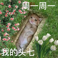 音碎采集到表情包