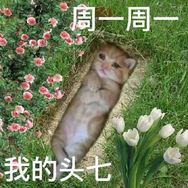 热榜