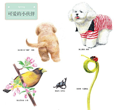oO漫舞樱璇Oo采集到Color Pencil Tutorials
