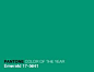 pantone&#;39s color of the year, 2013: emerald!