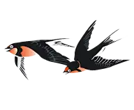 字体设计 创意字体素材