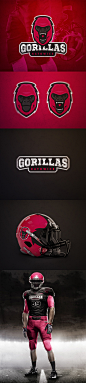 55个美式橄榄球俱乐部品牌视觉形象设计