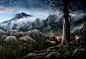 Refuge : "Refuge", a large-scale panoramic image created using imagery of mountains, forests, and animals that I photographed at Rocky Mountain National Park in Colorado. All of my artwork is primarily influenced by nature and environmentalism. 