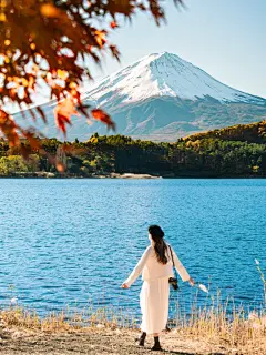 走进漫画壁纸里的富士山河口湖枫叶红了 - 小红书