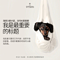#设计小课堂#【划分文字层级的 9 种实用小方法！】 ​​​​