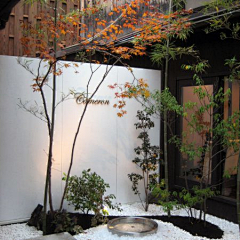 lawoniu采集到A/花园/杂木花园