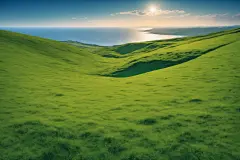 草坪自然风光摄影图