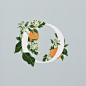 AN EDIBLE A–Z OF FLOWERS--英国插画师Charlotte Day