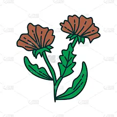 花叶子插图设计模板矢量