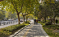 郑州古树苑公园一期景观提升，河南 / 奥雅设计 : 老树的新生