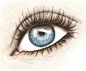 眼睛 人物 插画 水彩 彩铅 图片收集于网上