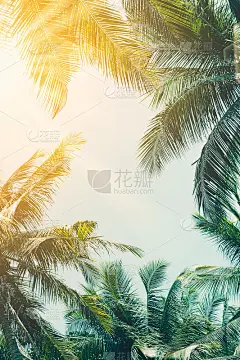暑期旅游与自然探险理念。热带棕榈树与彩色的散景太阳光在日落天空云抽象的背景。复古色调过滤效果色彩风格