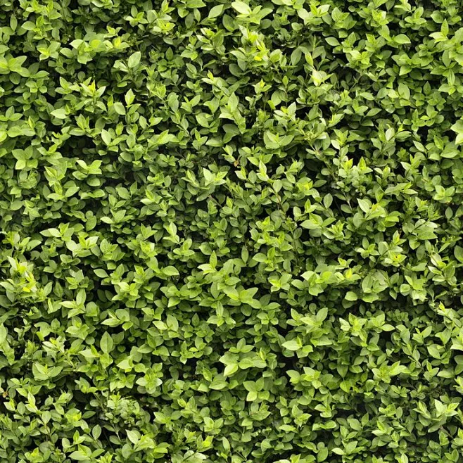 Seamless Hedge Texture by hhh316 on DeviantArt-花瓣网
