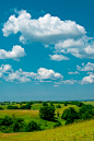 A green field with trees and clouds in the sky
