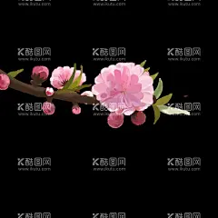 梅花桃花PNG   - 源文件下载【酷图网】梅花桃花PNG,水墨梅花,中国风梅花,清新梅花,腊梅,手绘梅花,桃花,樱花,花卉,梅兰竹菊,花草,海报背景,工艺插画,传统文化,广告设计,PNG免扣素材,
