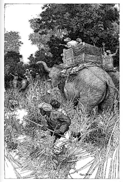 富兰克林·布斯（Franklin Booth）的线条插画艺术（二）～
年少时误以为书上的版画插图都是钢笔画的，就开始用钢笔模仿版画的艺术效果，也由此诞生出现在依然在流行的绘画风格。然后经过多年的执着练习，钢笔画的细腻程度也超越了版画对于细节的表达极限，表现力极为惊艳。 ​​​​
