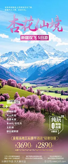 新疆杏花旅游海报-源文件-志设网-zs9.com