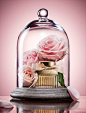 Ian Walsh - Still Life, Commercial, Product & Cosmetic Photographer - Home | Still Life Photographer - Ian Oliver Walsh