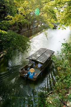 苹果★★采集到感觉