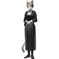 NPC (12)