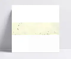 花瓣漂浮发芽背景|梦幻,浪漫,海报Banner,淡雅,花瓣